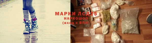 стафф Абинск