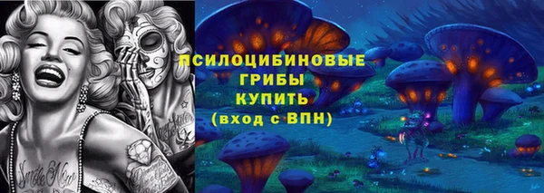 стафф Абинск