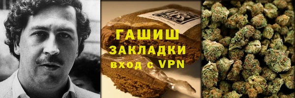 сатива Алзамай